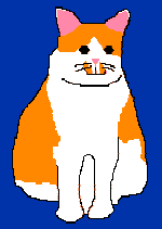 Cat in 4 colors