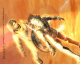 [Bob entering portal]