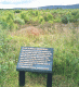 culloden4